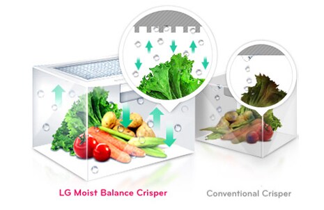 Moist Balance crisper™